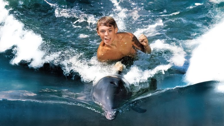 Backdrop image for movie Flipper