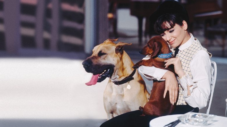 Backdrop image for movie The Ugly Dachshund