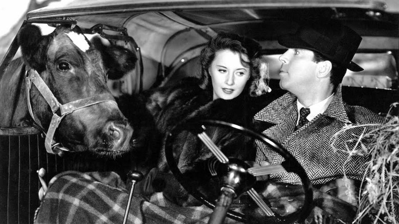 Backdrop image for movie Remember the Night