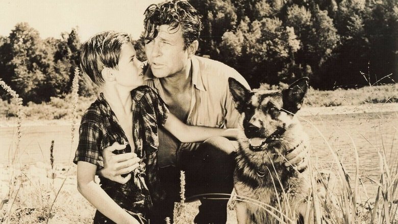 Backdrop image for movie Wolf Dog