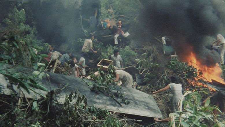 Backdrop image for movie Joyful Mystery