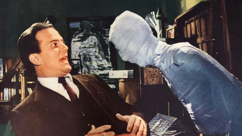 Backdrop image for movie The Horror of It All