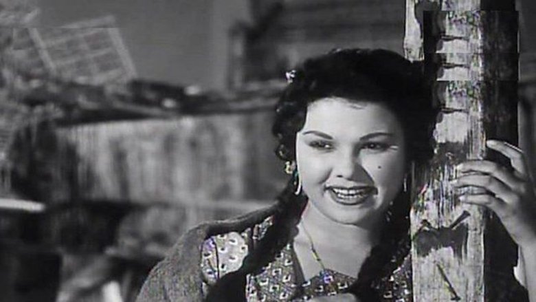 Backdrop image for movie The Fools Alley