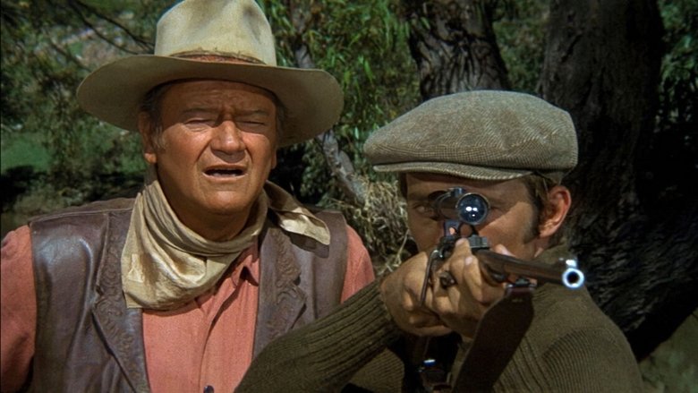 Backdrop image for movie Big Jake