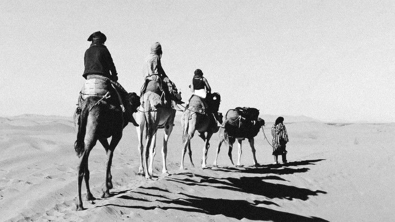 Backdrop image for movie Guns of Freedom