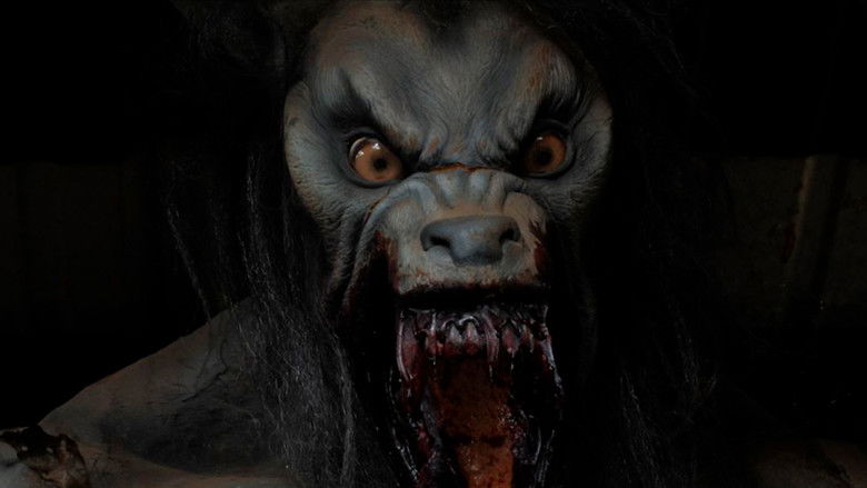 Backdrop image for movie Autumn Road