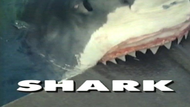 Backdrop image for movie Predators of the Wild: Shark