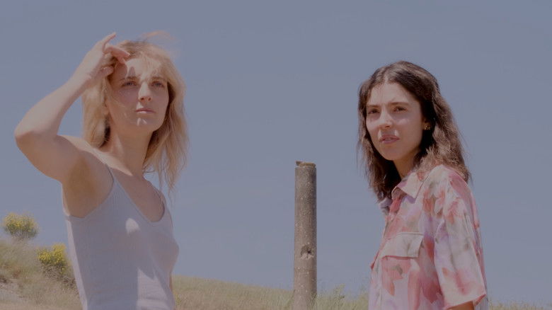 Backdrop image for movie Conchiglie