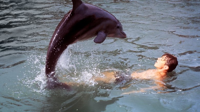 Backdrop image for movie Flipper's New Adventure