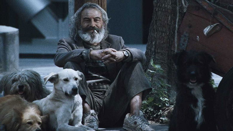 Backdrop image for movie Amores Perros