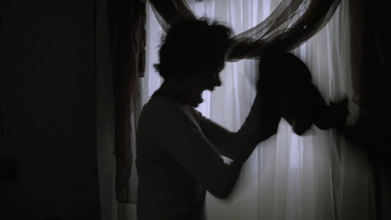 Backdrop image for movie Tentei