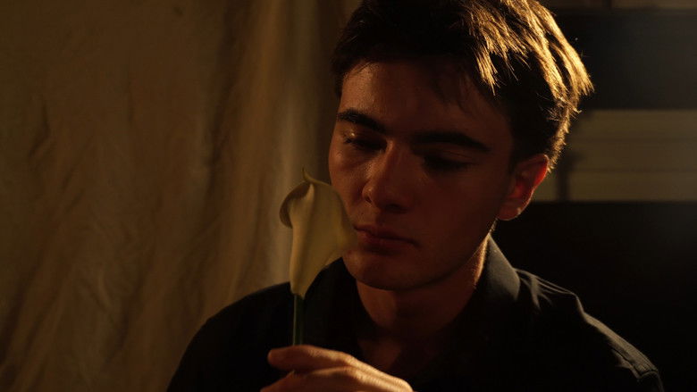 Backdrop image for movie Narciso