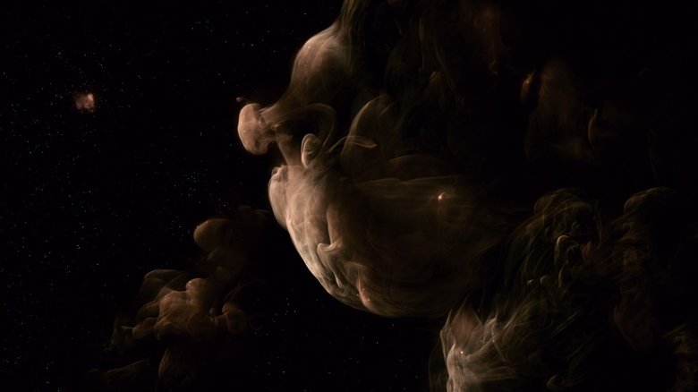 Backdrop image for movie The Tree of Life