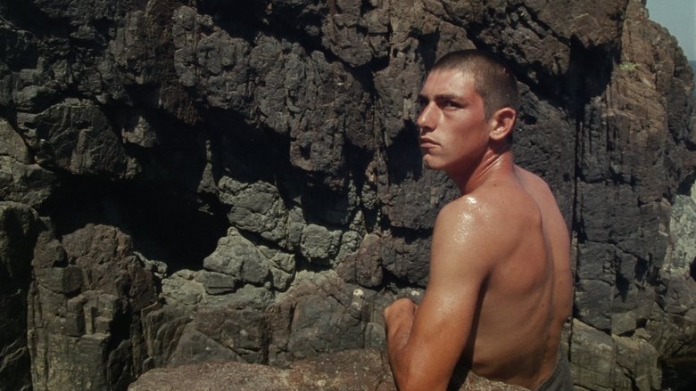 Backdrop image for movie February