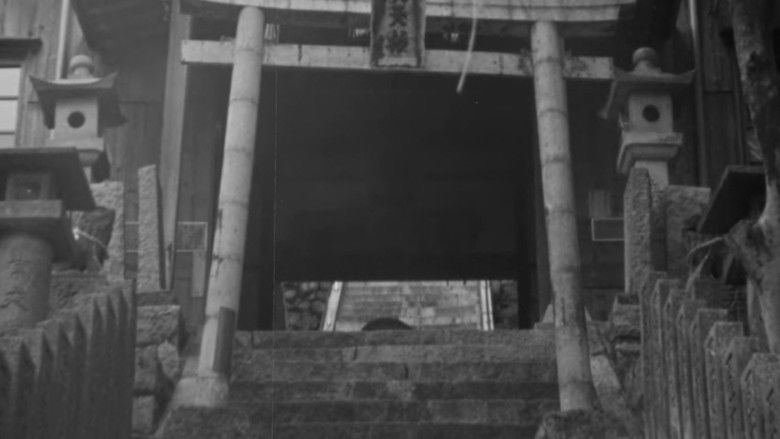 Backdrop image for movie Variations on a Life