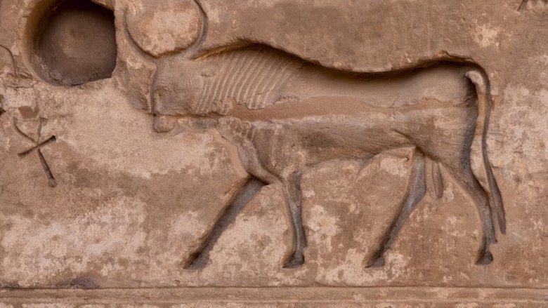 Backdrop image for movie Les animaux sacrés de l'Egypte ancienne