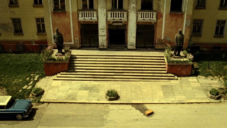 Backdrop image for movie Zero Street