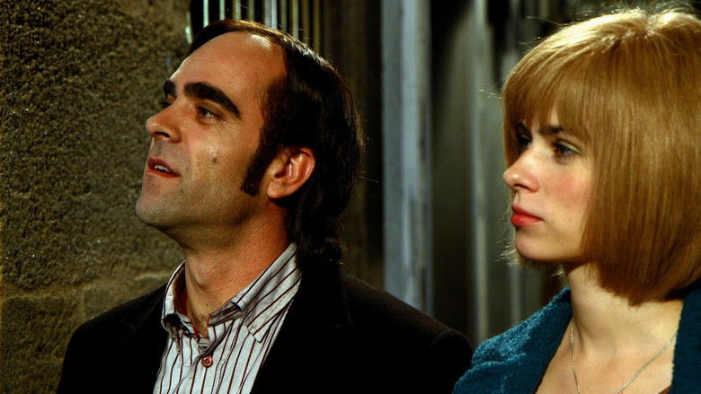 Backdrop image for movie La noche que dejó de llover