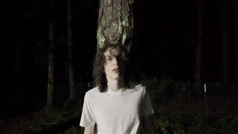 Backdrop image for movie Transformer