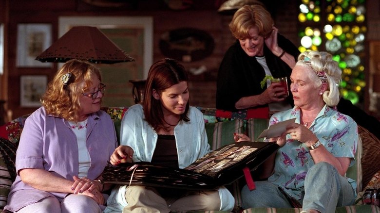 Backdrop image for movie Divine Secrets of the Ya-Ya Sisterhood