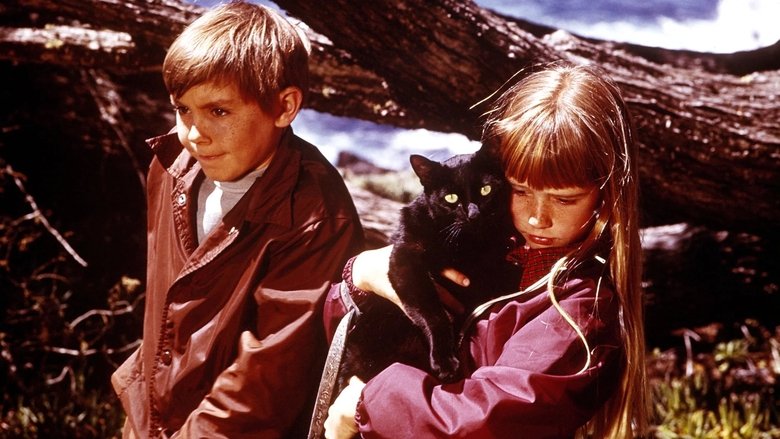 Backdrop image for movie Escape to Witch Mountain