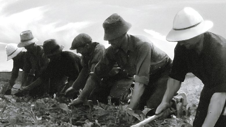 Backdrop image for movie La Ceinture Dorée