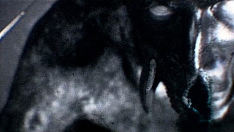 Backdrop image for movie Kanashibara