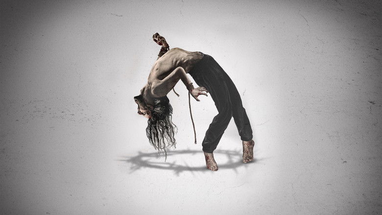 Backdrop image for movie Shadow of God