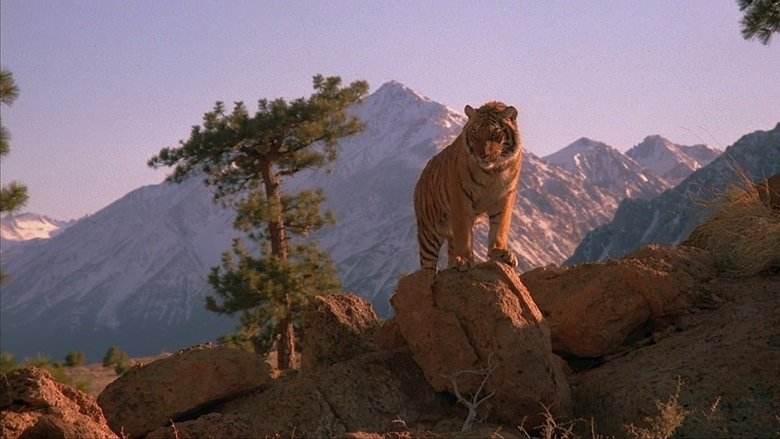 Backdrop image for movie Speed