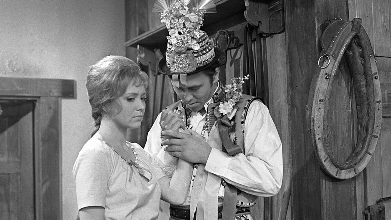 Backdrop image for movie Maryša