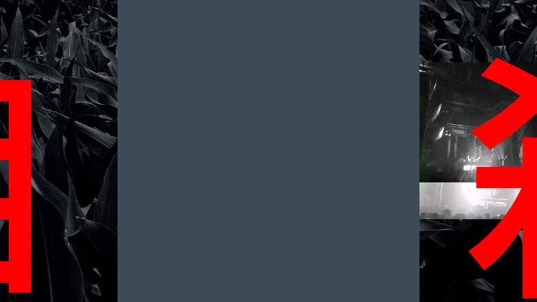 Backdrop image for movie the last day i can no longer remember.