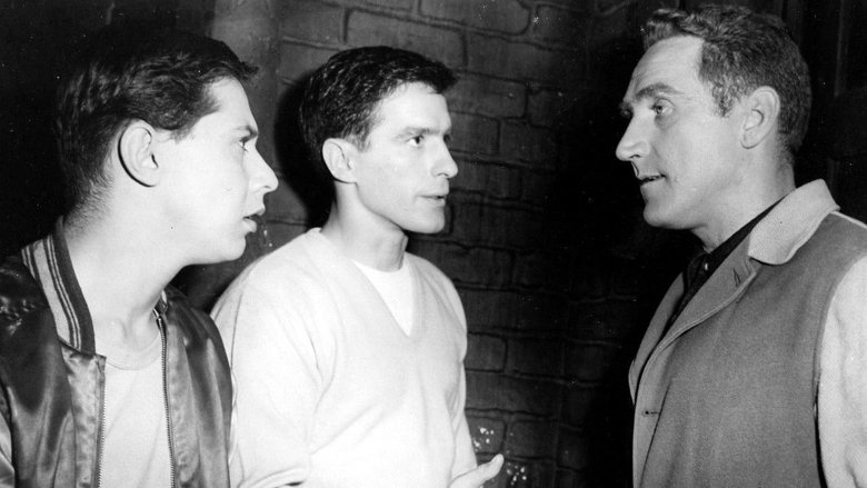 Backdrop image for movie Crime in the Streets