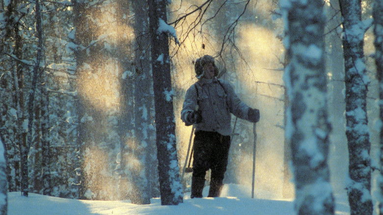 Backdrop image for movie Nuoruuteni savotat