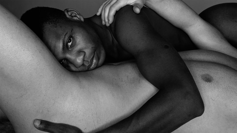 Backdrop image for movie Hidden Master: The Legacy of George Platt Lynes