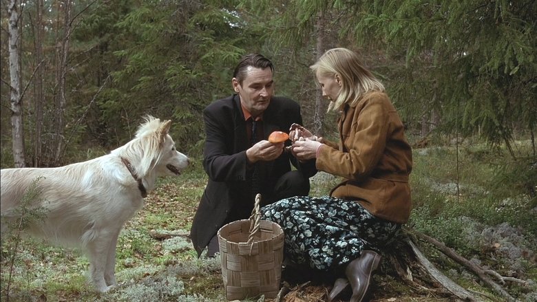 Backdrop image for movie The Man Without a Past