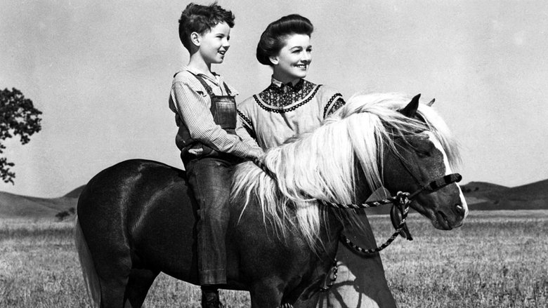 Backdrop image for movie The Red Pony