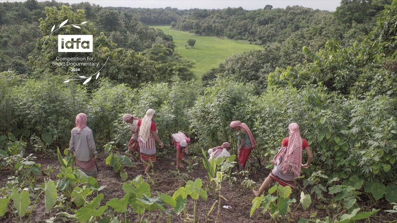 Backdrop image for movie Echoes Within