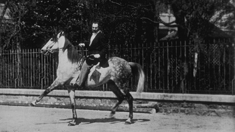 Backdrop image for movie Cheval de haute école, II