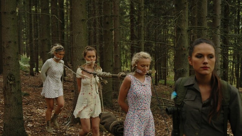 Backdrop image for movie The Slave Huntress