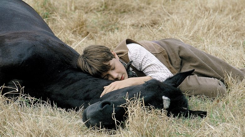 Backdrop image for movie Black Beauty