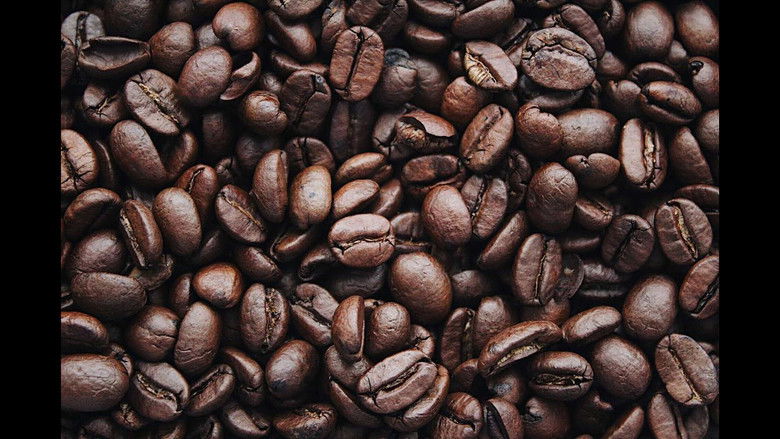 Backdrop image for movie The Lonely Hearts Café