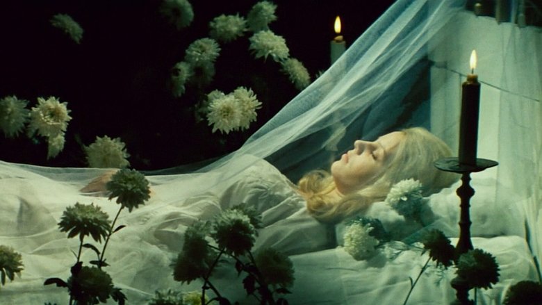 Backdrop image for movie The Devil's Bride