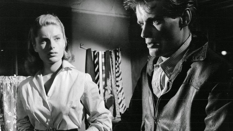 Backdrop image for movie The Secret Place