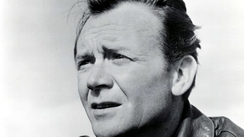 Backdrop image for movie The Gentle Gunman