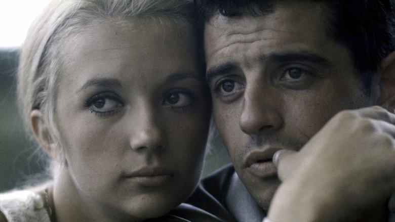 Backdrop image for movie Life Love Death