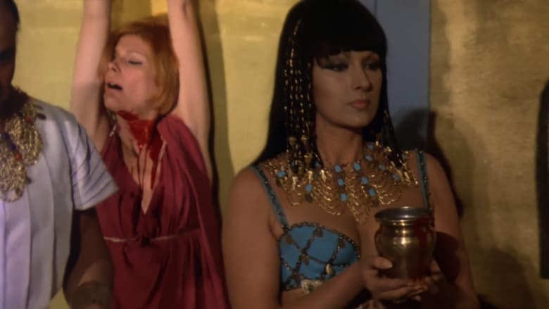 Backdrop image for movie The Mummy's Revenge