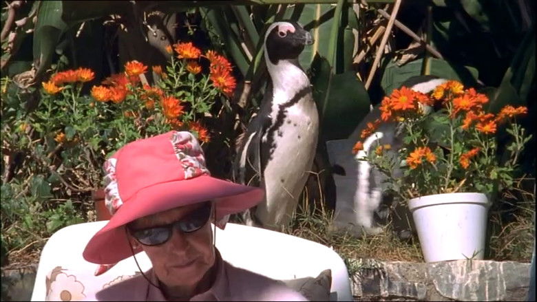 Backdrop image for movie City Slickers: A tale of two African penguins