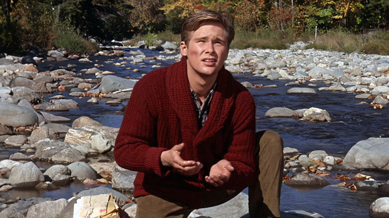 Backdrop image for movie Those Calloways