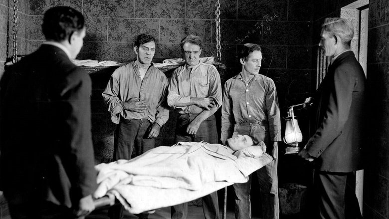 Backdrop image for movie The Face on the Barroom Floor