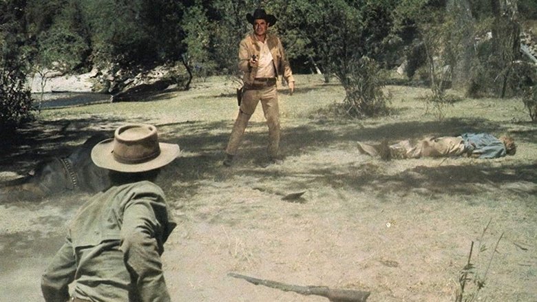 Backdrop image for movie Heaven with a Gun